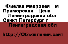 Фиалка махровая . м. Приморская › Цена ­ 100 - Ленинградская обл., Санкт-Петербург г.  »    . Ленинградская обл.